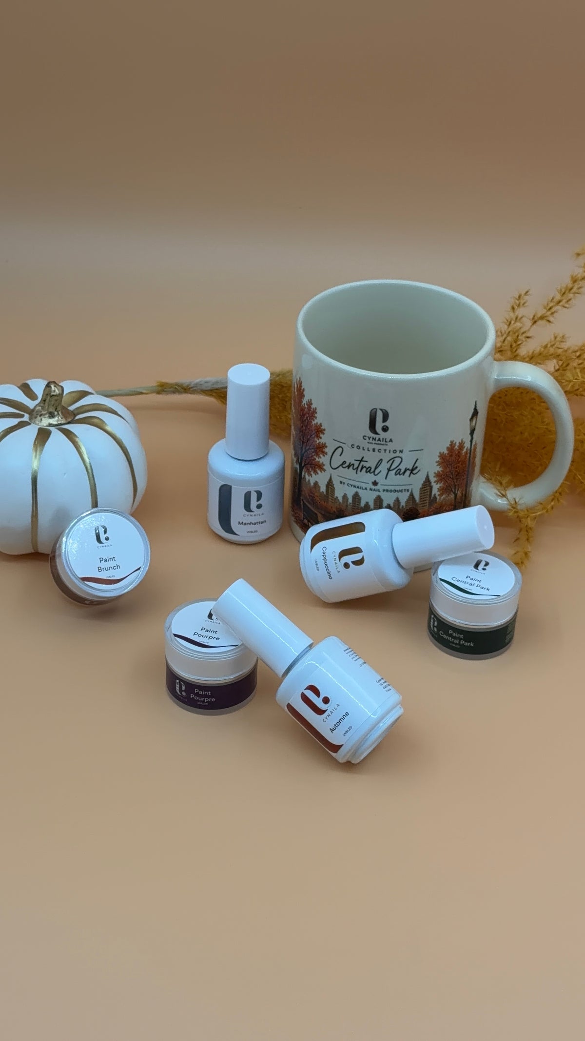 Coffret Central Park